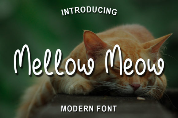 Mellow Meow: A Script Font That Adds Warmth to Your Typography