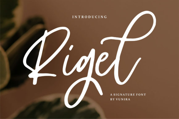 Rigel Font: Elevate Your Brand with Handwritten Elegance