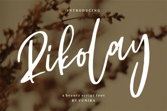 Rikolay Font: A Trendy Script for Stronger Brand Identity